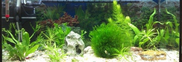 Mini 40 l