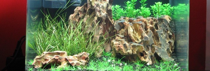 Nano 30