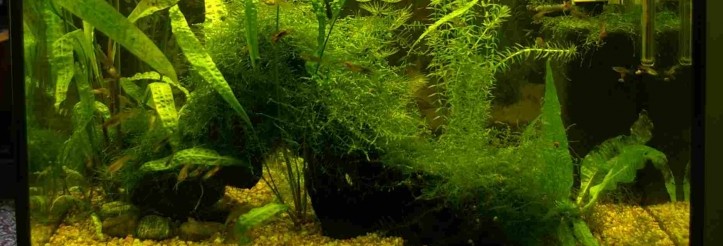 200 L