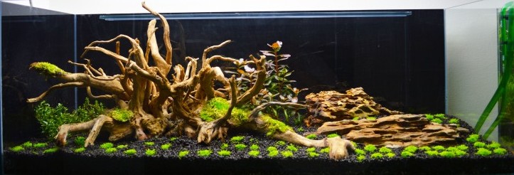 120L DSM