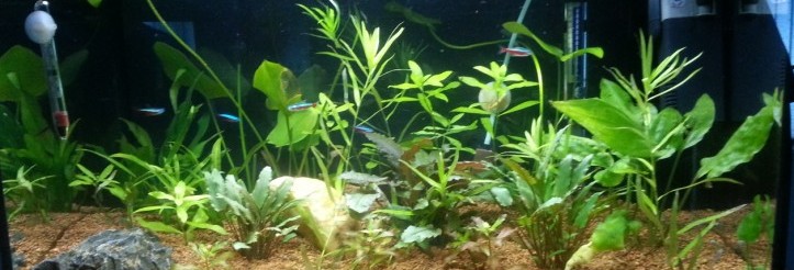 Kuba Aqua