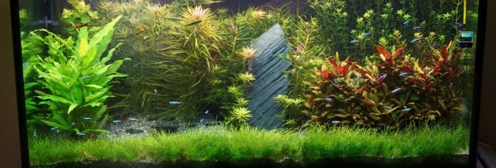 350 L