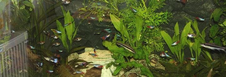 400 L