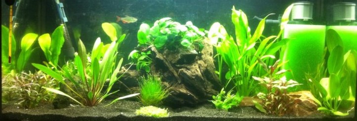 112l kytek!