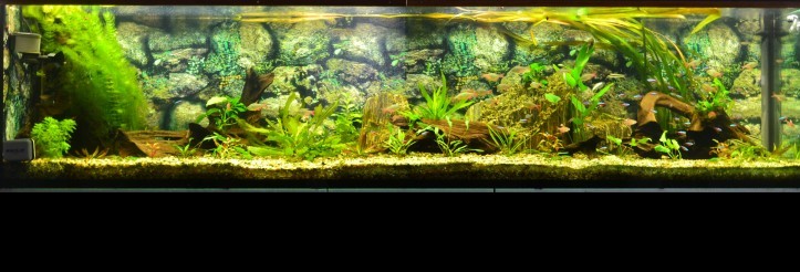 750L s r.o.