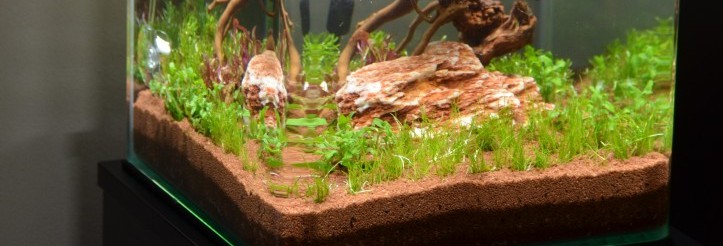 No RUSH (20 L)