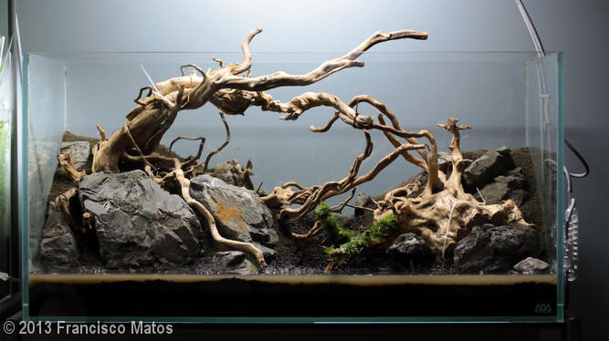 redmoor wood aquascape
