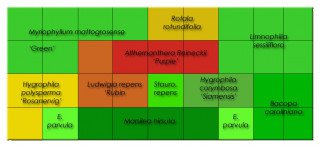 Nádrž Macieka Michalskiho