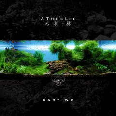 Povídání o aquascapingu: umění aquascapingu