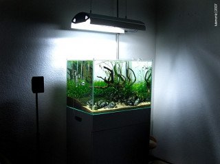 Jak vybrat nádrž pro aquascaping