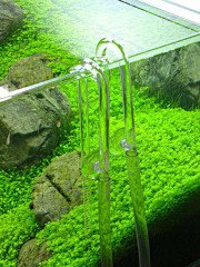 Výběr filtru a Lily Pipes