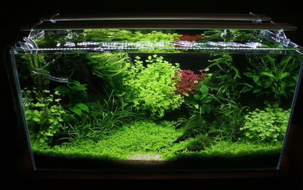 Sinkor LED 120 osvětlení akvária 120cm 40W | INVITAL Rostlinna-akvaria.cz