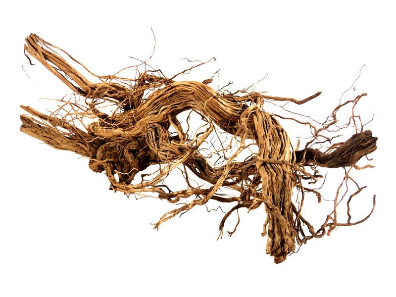 Dragon Wood XXL 60-90cm 1 kus