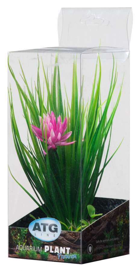ATG Premium rostlina Malá (18-25cm) 303