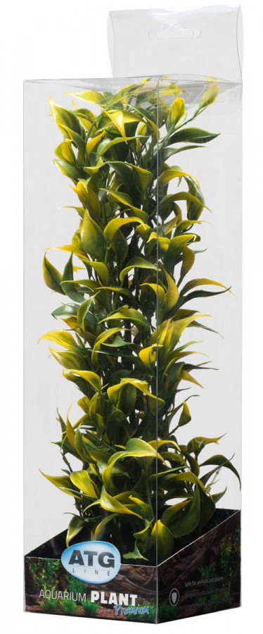 ATG Premium rostlina Střední (26-32cm) 404
