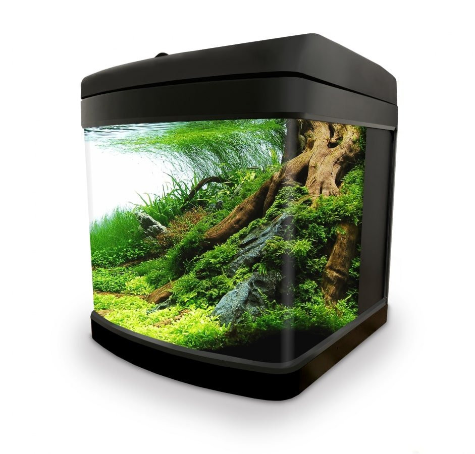 INVITAL EasyTank LED 26 litrů se zadní filtrací černá