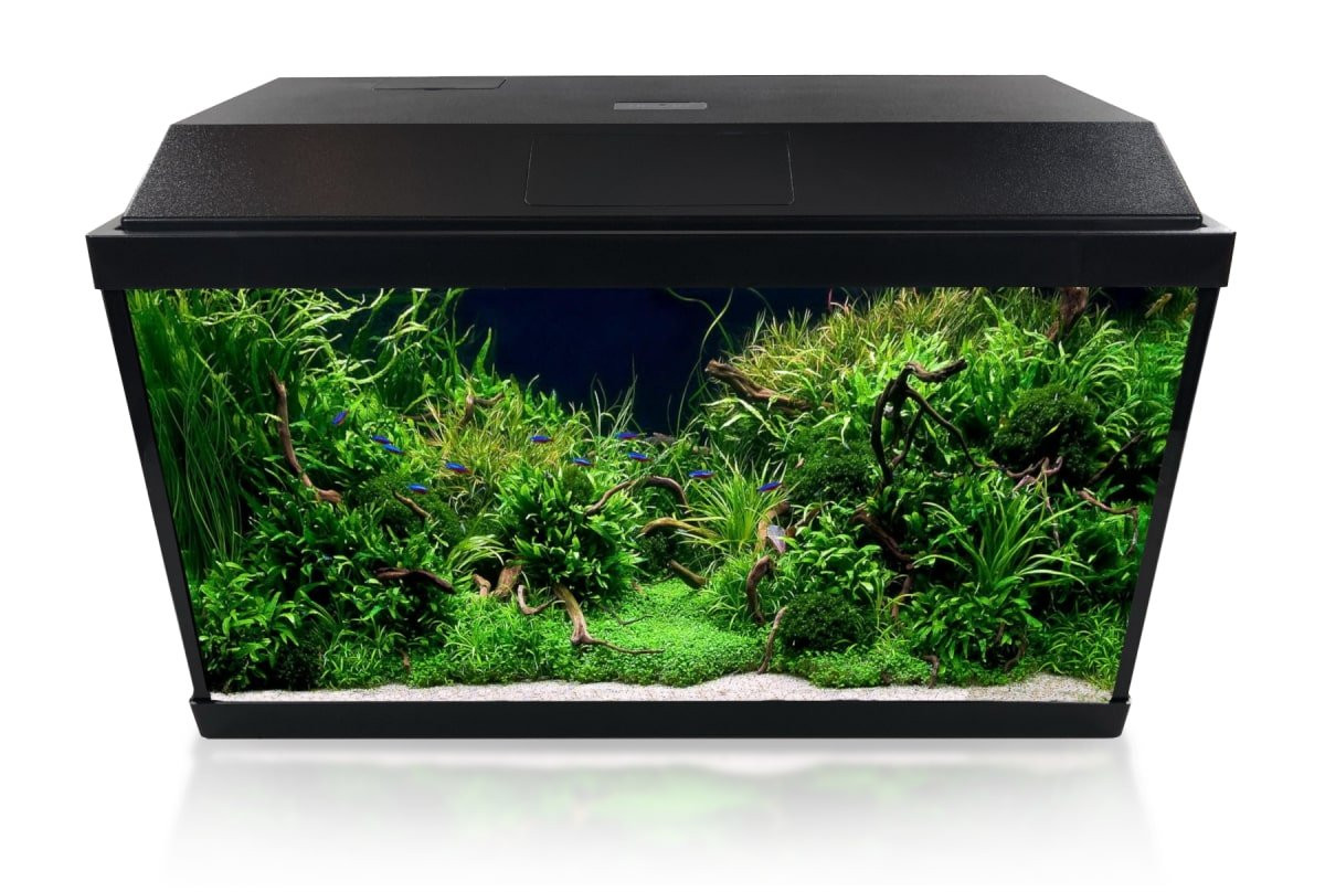 INVITAL LED akvarijní set 60 litrů s biofiltrem a topítkem
