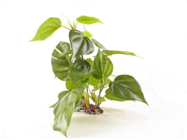 UP Aqua plastová rostlina na kořeni 1230