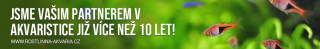 Product category banner