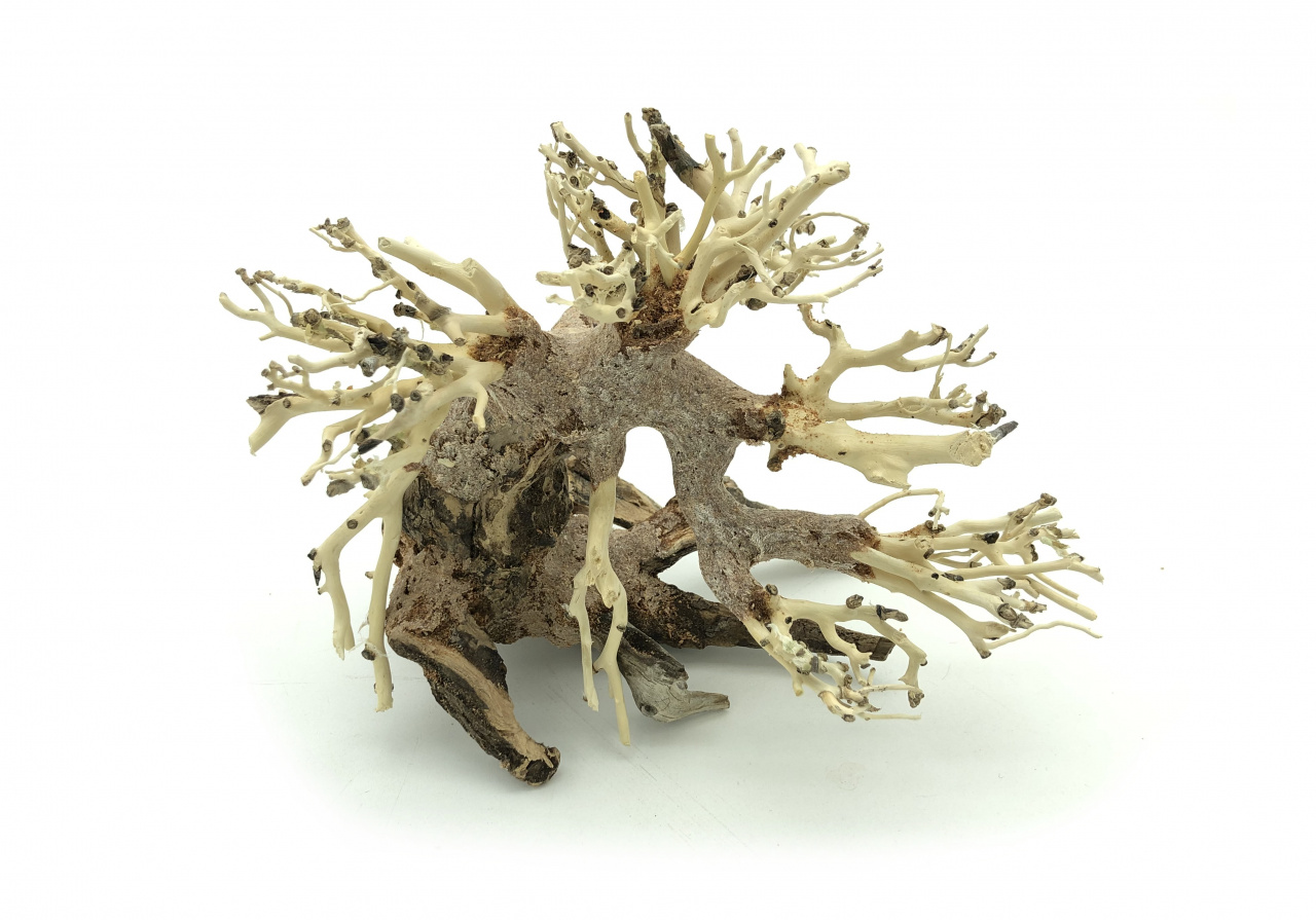 Bonsai Driftwood 20 x 15 x 17 cm No.7