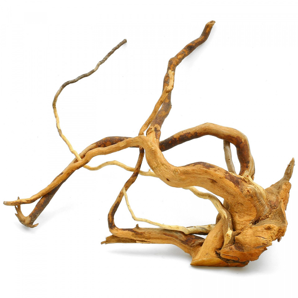 Kořen Red Moor wood XL (0,8-1,1 kg)