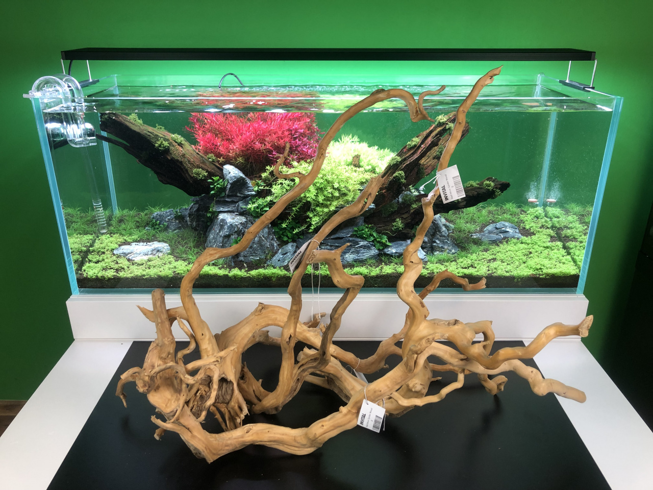 redmoor wood aquascape