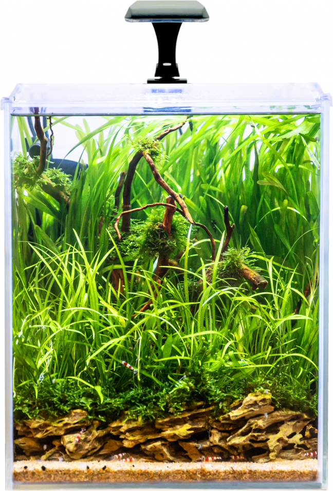 INVITAL Shrimp LED akvarijní set 30l