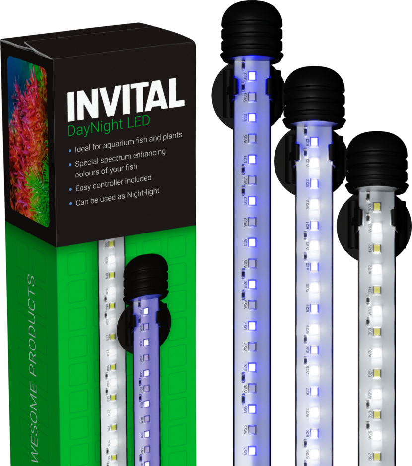 INVITAL DayNight LED 3,6W 19cm