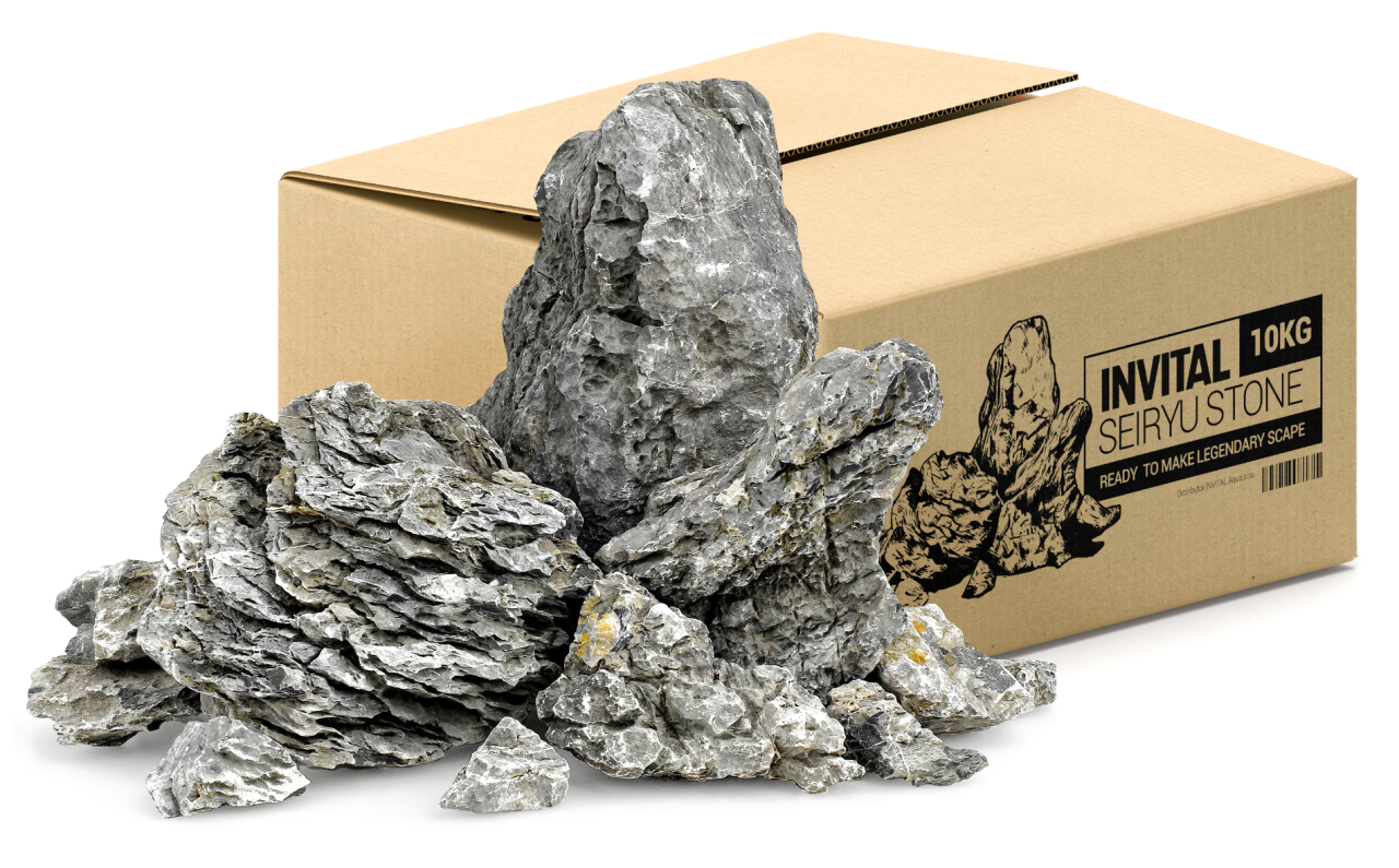 Seiryu stone MIX karton 10kg