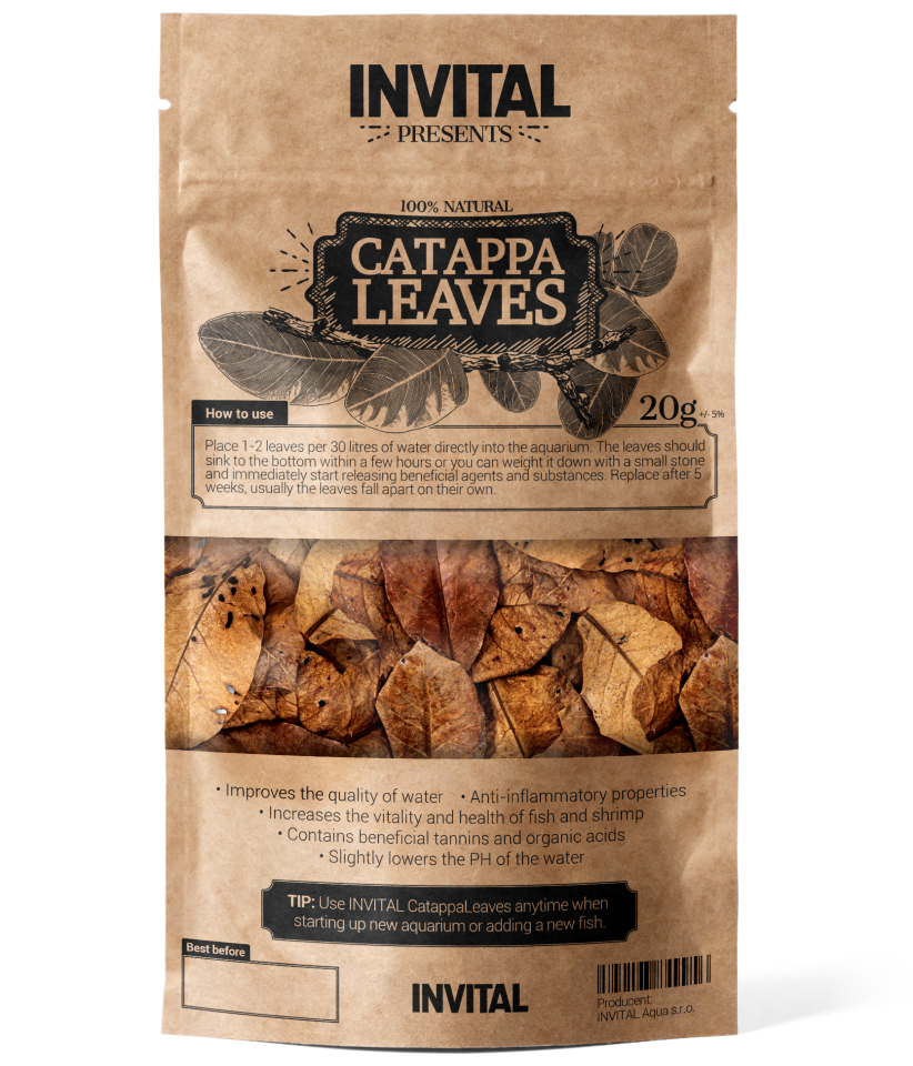 INVITAL CatappaLeaves 20 g listy mandlovníku