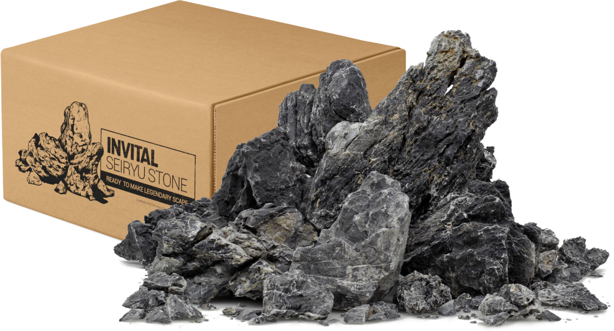 Dark Seiryu stone MIX karton 10kg