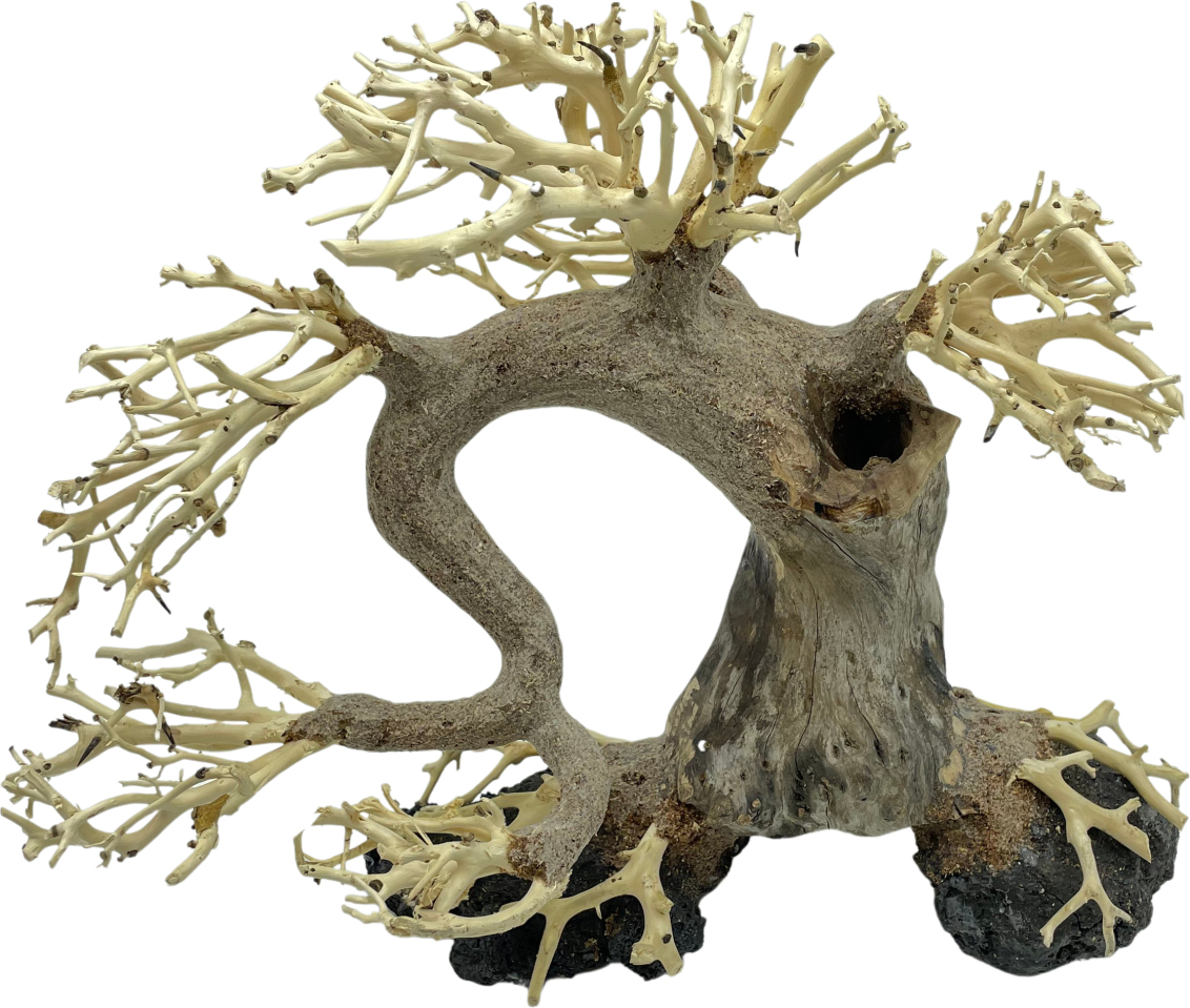Bonsai Driftwood 30 x 16 x 24 cm No.28
