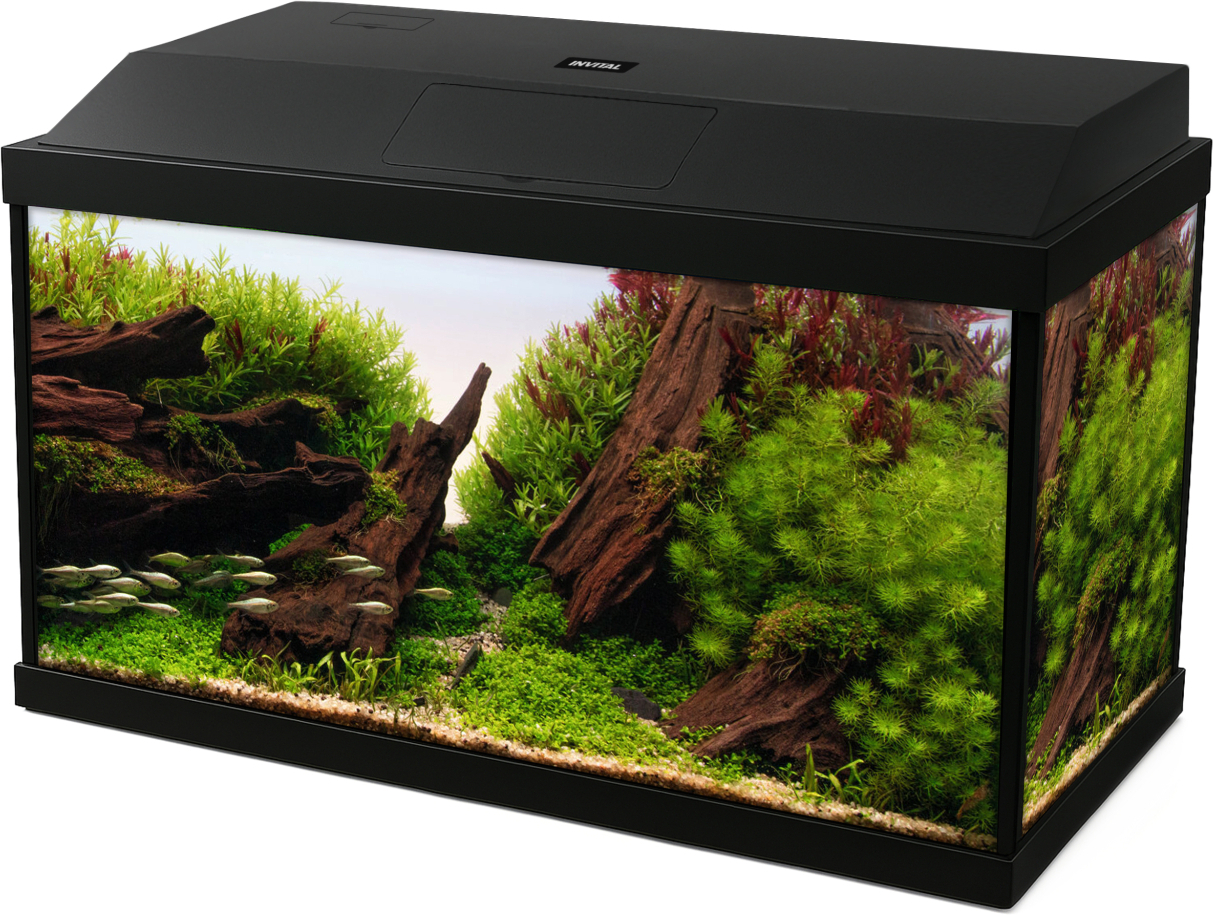 INVITAL LED akvarijní set 25 litrů s vnitřním filtrem a topítkem