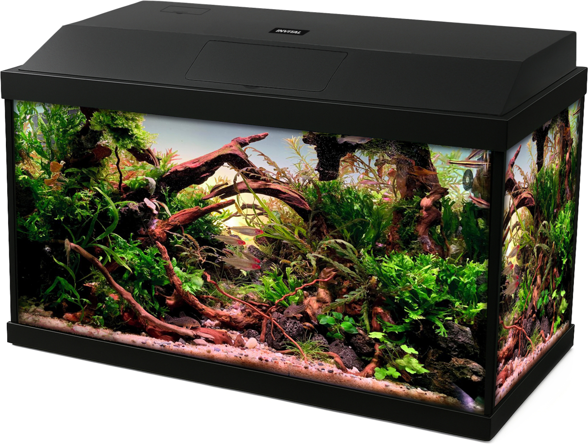 INVITAL LED akvarijní set 40 litrů s vnitřním filtrem a topítkem