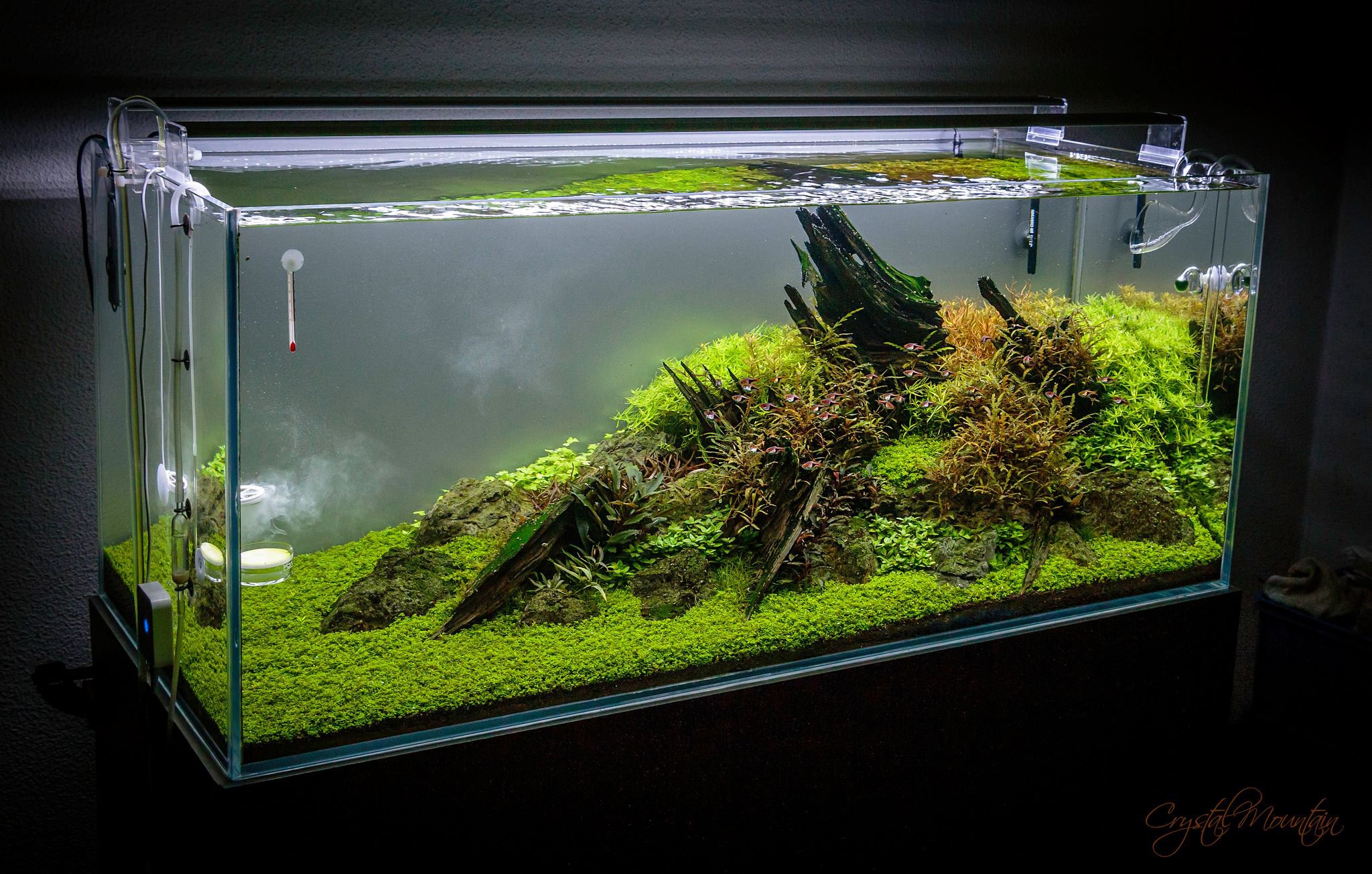 Akvarium s reverzní osmózou