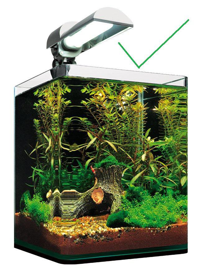 Dennerle nano cube akvárium Dennerle nano cube akvárium