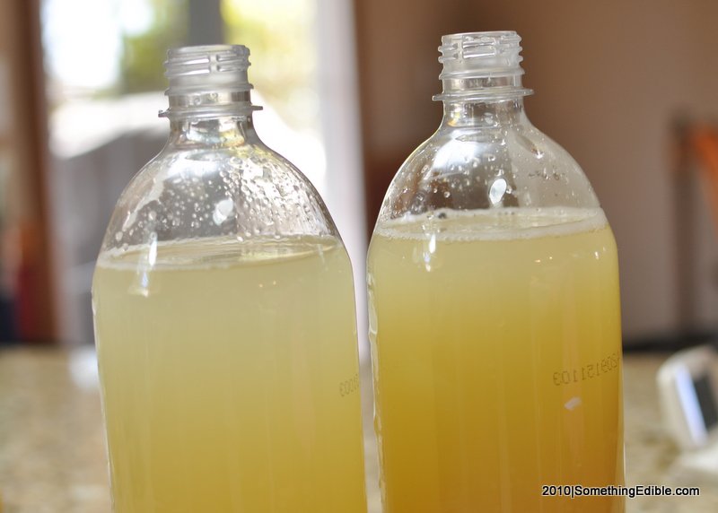 diy yeast diy yeast