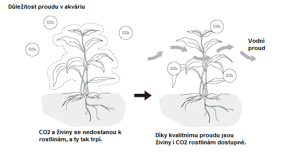 proud v akvariu