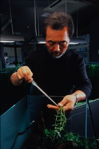 Takashi Amano Takashi Amano