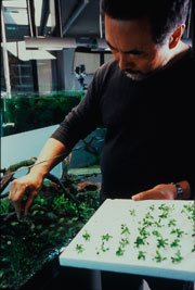 Takashi Amano 1 Takashi Amano 1
