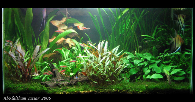 low tech 2 low tech 2