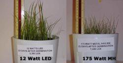 led led